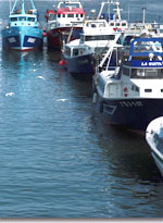 Fotografia barques al port